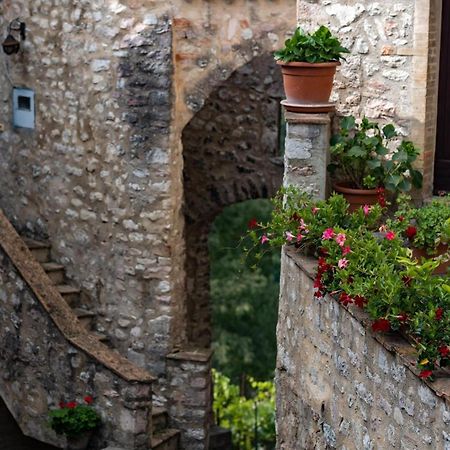 Il Tripode - Le Dimore Del Bordone Vallo di Nera Extérieur photo